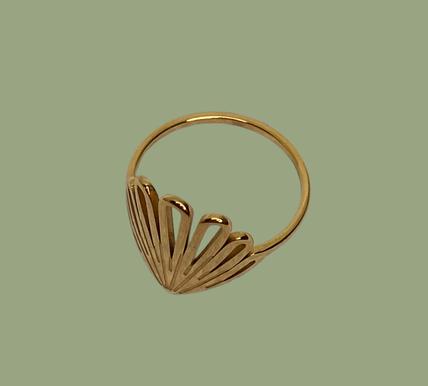 ANELLO BASTIAN